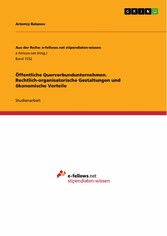 Öffentliche Querverbundunternehmen. Rechtlich-organisatorische Gestaltungen und ökonomische Vorteile