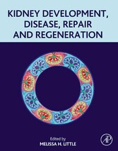 Kidney Development, Disease, Repair and Regeneration