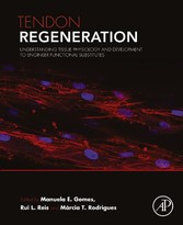 Tendon Regeneration