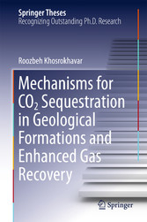 Mechanisms for CO2 Sequestration in Geological Formations and Enhanced Gas Recovery