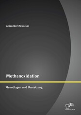 Methanoxidation: Grundlagen und Umsetzung