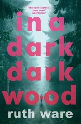 In a Dark, Dark Wood