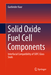 Solid Oxide Fuel Cell Components