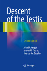 Descent of the Testis