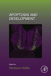 Apoptosis and Development