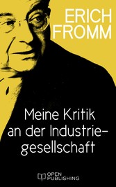 Meine Kritik an der Industriegesellschaft