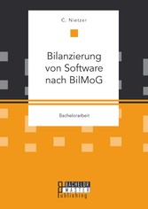 Bilanzierung von Software nach BilMoG