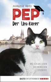 Pep, der Uni-Kater