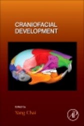 Craniofacial Development