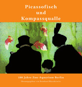 Picassofisch und Kompassqualle