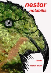 Nestor notabilis