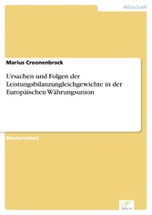 Ursachen und Folgen der Leistungsbilanzungleichgewichte in der Europäischen Währungsunion