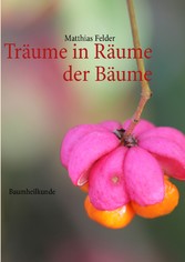 Träume in Räume der Bäume