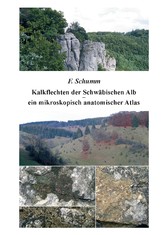 Kalkflechten der Schwäbischen Alb - ein mikroskopisch anatomischer Atlas