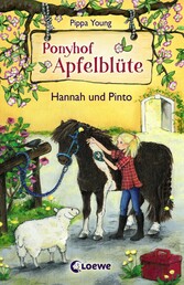 Ponyhof Apfelblüte (Band 4) - Hannah und Pinto