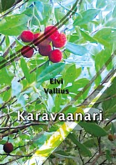 Karavaanari