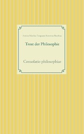 Trost der Philosophie