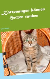 Katzenaugen können Herzen rauben