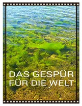 Das Gespür für die Welt