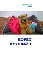 HOPEN KYYDISSÄ 1