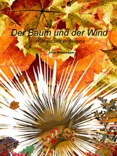 Der Baum und der Wind