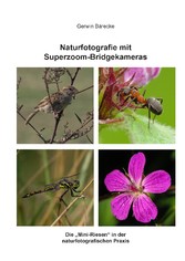 Naturfotografie mit Superzoom-Bridgekameras