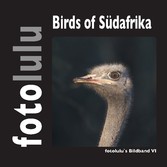 Birds of Südafrika