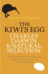 Kiwi's Egg