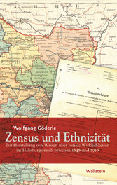 Zensus und Ethnizität