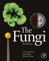 The Fungi