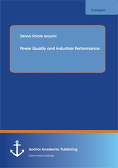 Power Quality and Industrial Performance