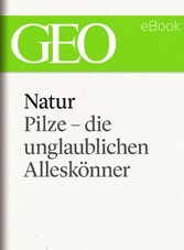 Natur: Pilze - die unglaublichen Alleskönner