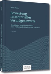 Bewertung immaterieller Vermögenswerte