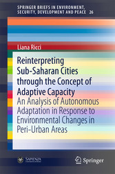 Reinterpreting Sub-Saharan Cities through the Concept of Adaptive Capacity