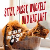 Sitzt, passt, wackelt und hat Luft