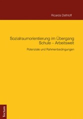 Sozialraumorientierung im Übergang Schule - Arbeitswelt