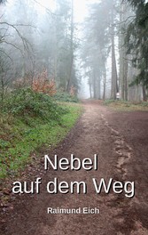 Nebel auf dem Weg