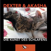 Die Kunst des Schlafens