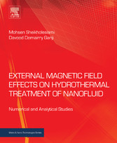 External Magnetic Field Effects on Hydrothermal Treatment of Nanofluid