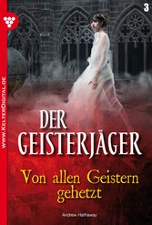 Der Geisterjäger 3 - Gruselroman