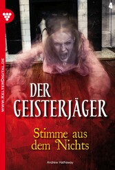 Der Geisterjäger 4 - Gruselroman