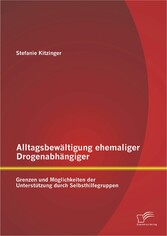 Alltagsbewältigung ehemaliger Drogenabhängiger: Grenzen und Möglichkeiten der Unterstützung durch Selbsthilfegruppen