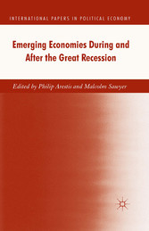 Emerging Economies During and After the Great Recession