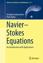 Navier-Stokes Equations