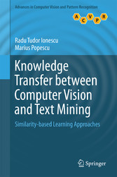 Knowledge Transfer between Computer Vision and Text Mining