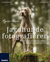 Jagdhunde fotografieren