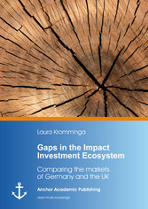 Gaps in the Impact Investment Ecosystem