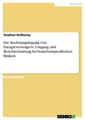 Die Rechnungslegung von Energieversorgern. Umgang und Berichterstattung bei branchenspezifischen Risiken