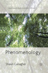 Phenomenology