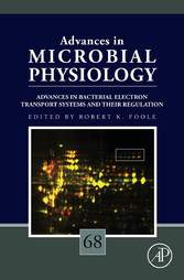 Advances in Bacterial Electron Transport Systems and Their Regulation